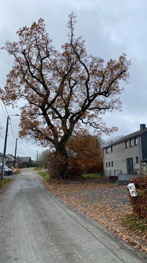 Le Gite Du Vieux Chene Bertogne Exterior foto